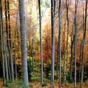 Očistimo naše planine od smeća!